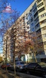 Buy an apartment, Valentinivska, Ukraine, Kharkiv, Moskovskiy district, Kharkiv region, 3  bedroom, 65 кв.м, 1 740 000 uah